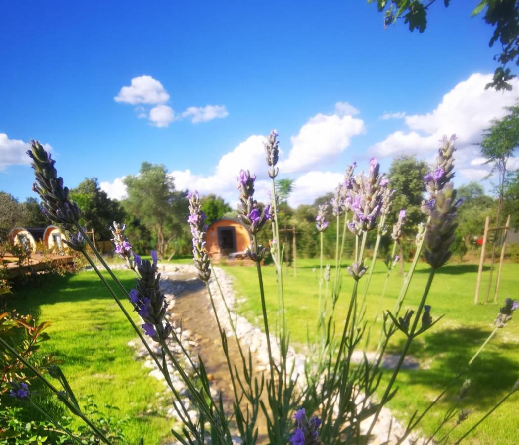 Camping Les Pres Du Roi Sommieres Exterior photo